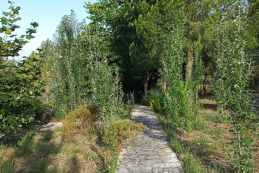 Moradia Na Serra Alcanede Exterior foto